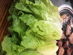 -星火东北碳火烤肉(华大店)
