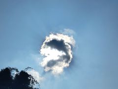 -三峡农家菜(三峡店)