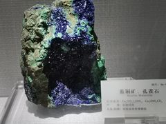 -湖南省地质博物馆