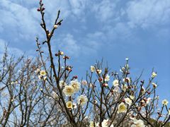 -苏州上方山国家森林公园
