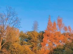 -上海吴淞炮台湾国家湿地公园