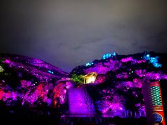 -印象普陀