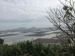 -北岐滩涂