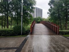-南翔镇银翔湖公园