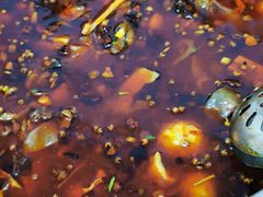 -黑竹香鸡(营和巷店)