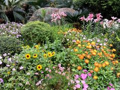 -深圳仙湖植物园