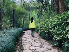 -杭州半山国家森林公园