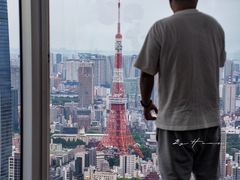 -六本木新城展望台(东京城市景观)