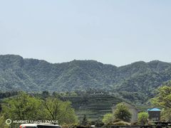 -龙坞茶村