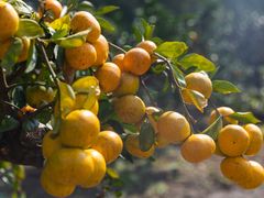 -滨江森林公园-真人CS野战场