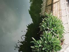 -荔湾博物馆