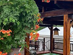 -大江户·温泉洗浴(浑南店)