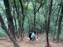 -灵岩山风景区