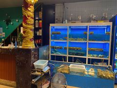 水产区-金龙·打边炉(南京西路店)