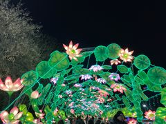 -沈阳奥体冰雪嘉年华