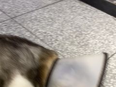 -谜盒子奇幻密室(南屏店)