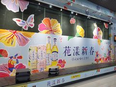 -丽江三义国际机场