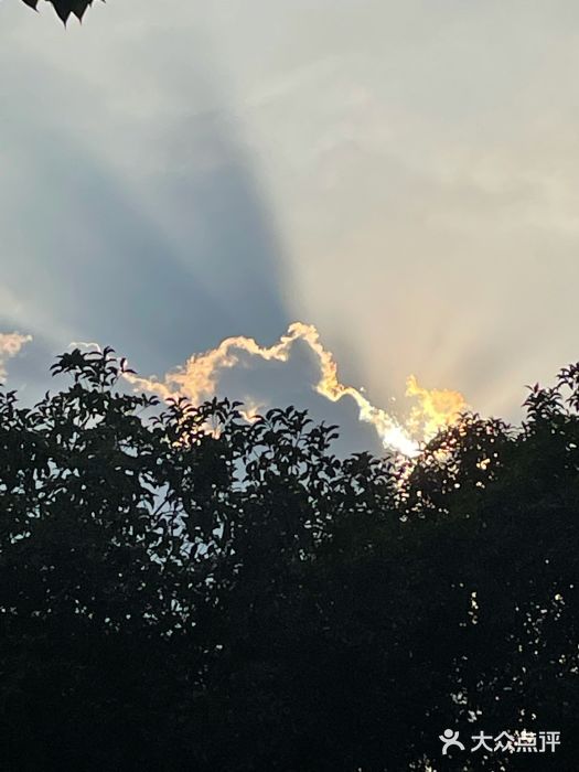 钱塘江大桥图片