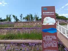 -黄河小浪底水利枢纽风景区