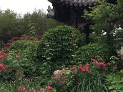 -蓬莱阁景区