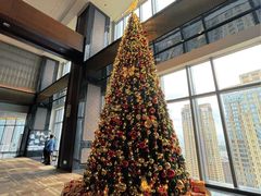 -三迪希尔顿酒店·星空酒廊