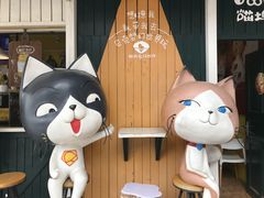 -贝壳梦幻世界