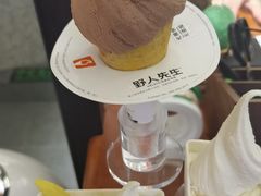 -野人先生Gelato(上海长宁龙之梦店)