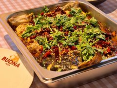 -百好乐宠物友好餐厅(朝外大街店)