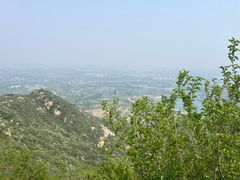 -樱花山风景区