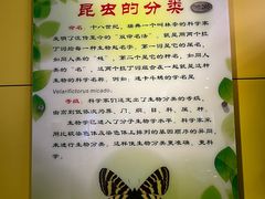 -上海昆虫博物馆