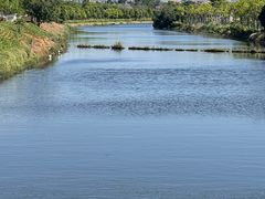 -五甲塘生态湿地公园
