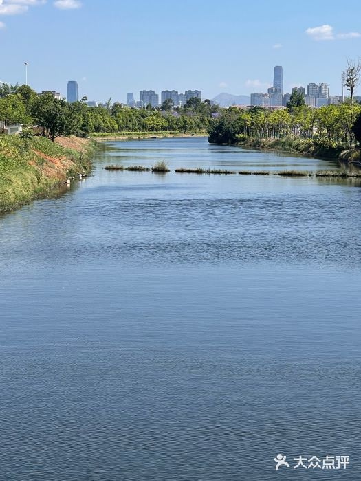 五甲塘生态湿地公园图片
