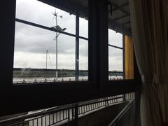-花好悦园(瀛洲店)