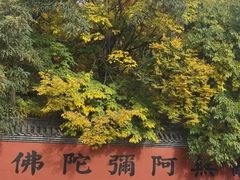 -青岩寺风景区