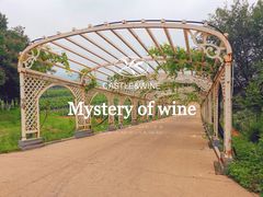 -北京张裕爱斐堡酒庄