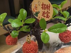 -椿记烧鹅(叠彩店)