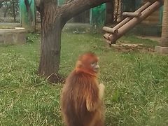 -西安秦岭野生动物园