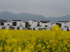 -东梓关景区村庄