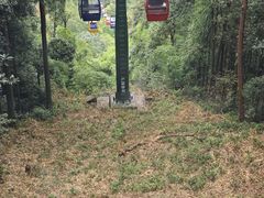 -缙云山景区