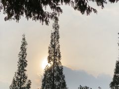 -蜀绣公园