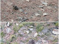 -森林公园(尖草坪区)