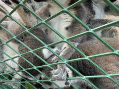 -水上乐园·欢乐世界