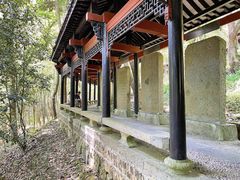 -严子陵钓台(富春江小三峡)