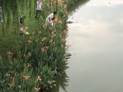 -南宁南湖公园