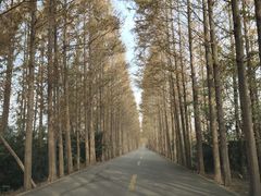 -滨海高尔夫俱乐部