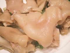 -丁老爷子苏香圆