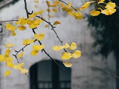 -无锡惠山寺