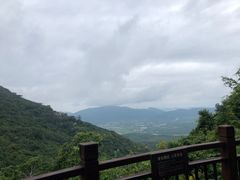 -三亚亚龙湾人间天堂鸟巢度假村