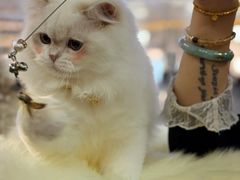 -上海长风大悦城