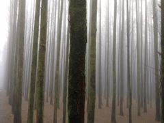 -山王坪喀斯特国家生态公园